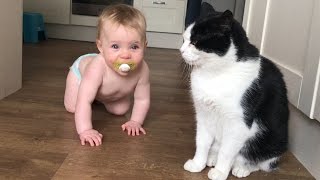 Baby Molly Learns To Crawl  First Time Crawling [upl. by Alac]