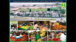 MERCADOS DE ABASTOS EN LA TIPOLOGIA de Cooperativas Servicios [upl. by Toombs595]