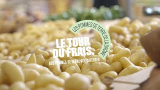 Grand Frais  Le Tour du Frais avec Florent producteur de pomme de terre délicatesse [upl. by Foley]