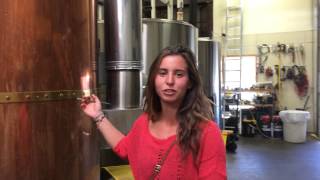 How to Brew Beer Using Geothermal Heat [upl. by Nirac]