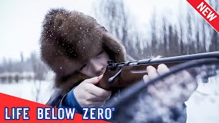 Life Below Zero NEW 2024🔪 Arctic Discipline 🔪 Best Hunting Documentaries [upl. by Vento]