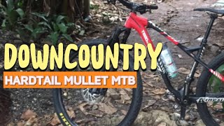 DOWNCOUNTRY  HARDTAIL MULLET MOUNTAINBIKE [upl. by Semadar]