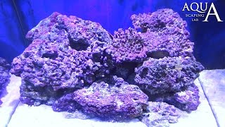 Aquascaping Lab  Rocce vive in acquario marino effetti utilità e importanza [upl. by Ria947]