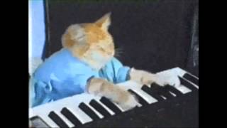 Scatman Cat Mashup SPED TO 2x [upl. by Dorine342]