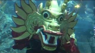 Underwater Chinese dragon dance in Bangkok [upl. by Llerehc]