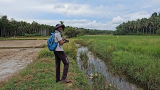 വരാൽ ചാകര🦈ചെറിയ വിലയിൽ നല്ല ഫ്രോഗുകൾ 💥varaal varaal fishingfishing shop Keralafishing tackle shop [upl. by Faucher]