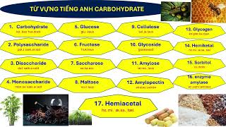 HÓA 12 MỚI  PHIÊN ÂM TÊN GỌI CARBOHYDRATE [upl. by Irollam624]