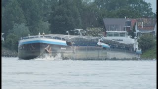 147 Shipspotting Binnenschiffe auf dem Rhein  GMS Linz am Eicher See [upl. by Jeffery644]