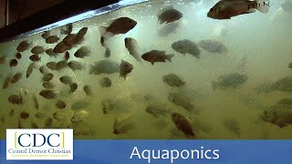 Aquaponics Tour [upl. by Solracsiul]