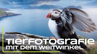 Tierfotografie mit dem Weitwinkel  Das musst du beachten [upl. by Erdnaid]