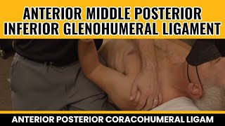 Anterior Middle Posterior Inferior Glenohumeral ligament Anterior Posterior Coracohumeral Ligam [upl. by Marcell158]