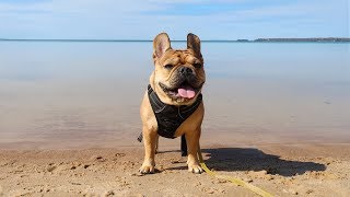 Varamon Beach · Motala Sweden [upl. by Alegnat]