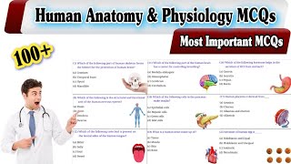 Human Anatomy and Physiology MCQs  General Knowledge MCQs [upl. by Tiebout703]