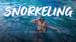 EP05  Snorkeling in Nusa Penida  Beautiful Villa with private pool in UBUD [upl. by Ahsenroc953]