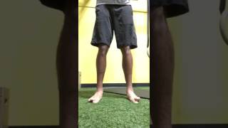 Ankle EversionInversion [upl. by Lucias]