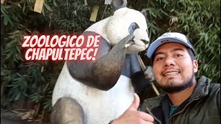 Así es el Zologico de Chapultepec´2024 El Zoo más visitado en todo México [upl. by Ettezyl127]