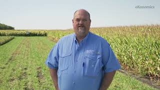 Phosphorus Fertilizer Application The Right Rate The Right Time [upl. by Swinton]