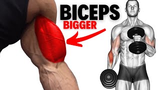 how to build bigger biceps workout [upl. by Adrahs]