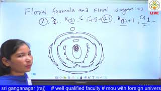 GPB 321 Lecture 4 Topic Berseem Floral Biology and Breeding Objective and Method [upl. by Eelrebma]