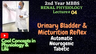 4Urinary Bladder amp Micturition Reflex  Automatic  Neurogenic  Tabetic  2ndYR MBBS RENAL [upl. by Aronek]