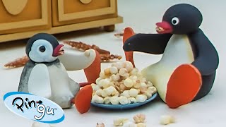 Pingu at Home 🐧  Pingu  Official Channel  Cartoons For Kids [upl. by Lorn]