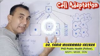 Cell Adaptation  Hyperplasia vs Hypertrophy  Dysplasia vs Metaplasia vs Neoplasia  Atrophy [upl. by Howes994]