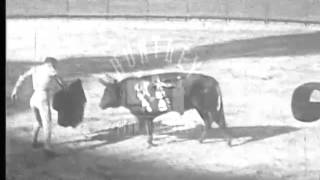 Early 1930s Portugal A bullfight Archive film 91817 [upl. by Bergerac]