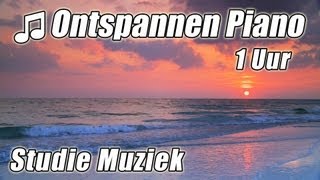 PIANO Instrumentale 1 uur Klassieke Muziek voor Studeren Afspeellijst Mooie Ontspannende Sudie lied [upl. by Ariaes]