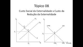 Introdução a Economia 055 Externalidade Custo Social x Custo Privado da Redução da Externalidades [upl. by Ellersick185]