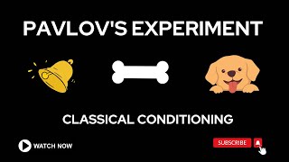 Pavlovs Bell Experiment Explained  Classical Conditioning [upl. by Adnahs92]