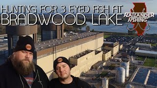 Hunting 3 eyed fish at Braidwood lake [upl. by Nennahs]