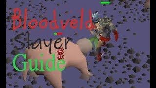 OSRS InDepth Ultimate Bloodveld Slayer Guide 2019 [upl. by Htebazile]