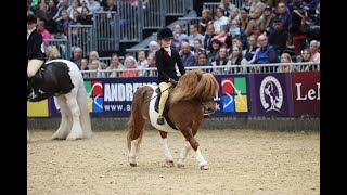 HOYS LIVE  Horse of the Year Show 2024 Live Stream Full Match [upl. by Alekin]