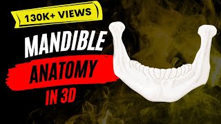 Mandible  Favorite bone of dentists [upl. by Scoles]