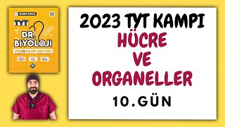 10Hücre Organelleri TYT Biyoloji Kampı Konu Anlatımı 9Sınıf 2023 Tayfa [upl. by Pretrice535]