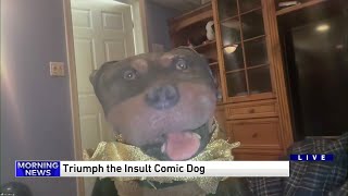 Triumph the Insult Comic Dog roasts the WGN Morning News [upl. by Eaned]