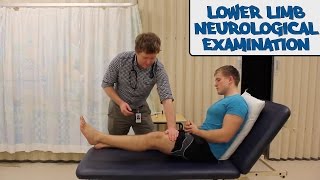 Lower Limb Neurological Examination  OSCE Guide old version  UKMLA  CPSA [upl. by Klute]