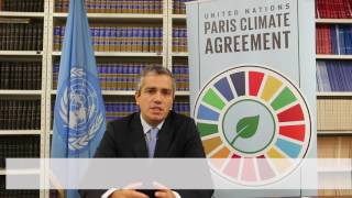 Paris Agreement Toward entry into force explained extended cut [upl. by Conias115]