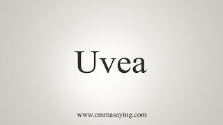 How To Say Uvea [upl. by Elamef711]