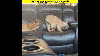 அங்க என்னத்த பாக்க சொல்லுற shorts [upl. by Aziar]