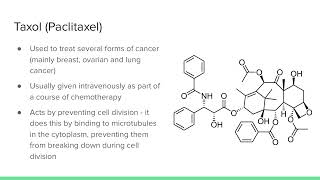 Chirality in Medicinal Synthesis  Taxol [upl. by Nimzay16]