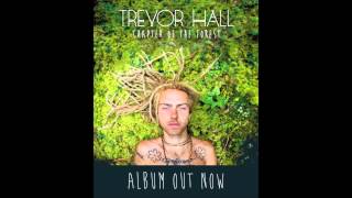 Trevor Hall  The Promised Land With Lyrics [upl. by Geffner]