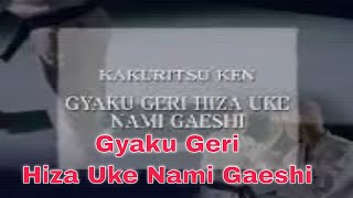 Gyaku Geri Hiza Uke Nami Gaeshi [upl. by Matthei858]