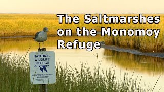 The Saltmarshes on the Monomoy National Wildlife Refuge [upl. by Houlberg]