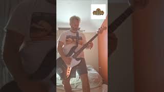 PRIMUS TOO MANY PUPPIES  BASS COVER 20  649 primus basscover lesclaypool [upl. by Nahpets]