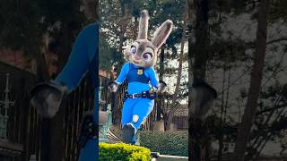 JUDY HOPPS ZOOTOPIA ZOOTROPOLIS disneylandparis disney zootropolis [upl. by Edd]