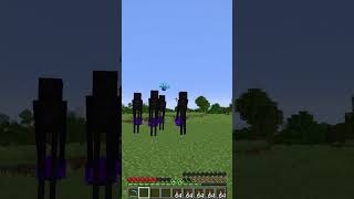 nether portal Luck 1331 Moment minecraft meme shorts [upl. by Sedinoel]