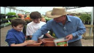 Kids planting bulbs in pots  for mothers day gifts  at Pughs garden village in Radyr near Cardiff [upl. by Nylitsirk]