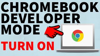 How to Turn On Chromebook Developer Mode  Put Chromebook in Dev Mode [upl. by Harutek289]