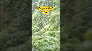 BRAGANZA GHATS 🤯 goa shorts solotravelling ytshorts short travel viralshort [upl. by Jonathon]